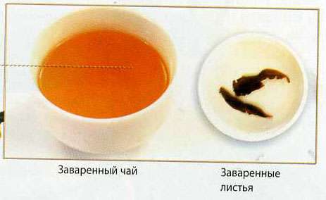 Чай Нарцисс северного Фуцзяня